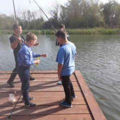 viber_slika_2023-10-09_18-44-22-611.jpg